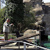 Fővárosi Állat- és Növénykert / DSCN 057.jpg