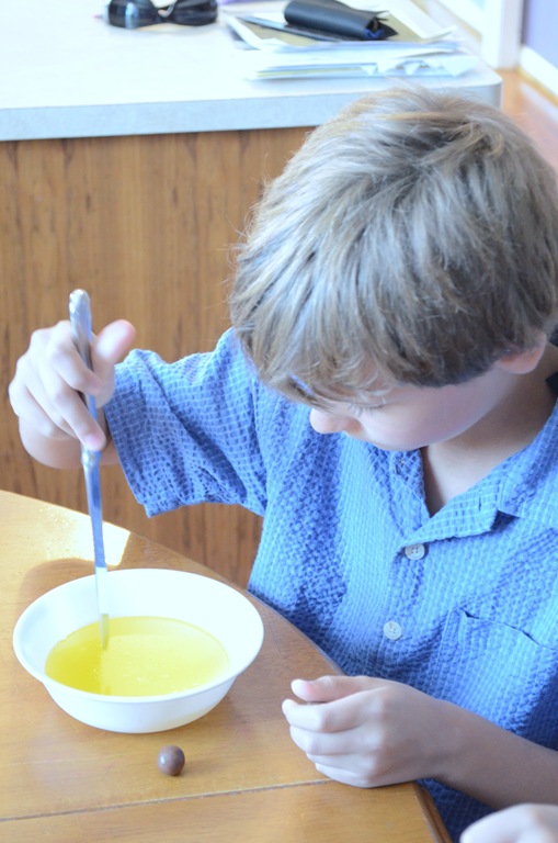 [DSC_2532%255B3%255D.jpg]