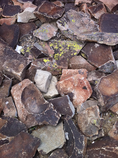 I bet if I looked close enough, I'd have met some cute little buggers living in here...maybe a lizard or a mole?