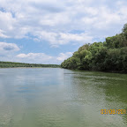 IMG_5528.JPG