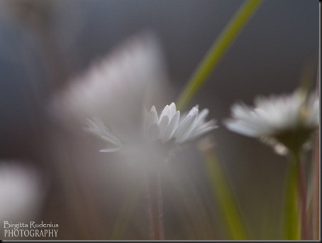 macro_20120613_tusen