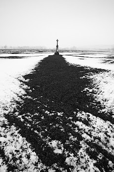 2013-02-25_1.jpg