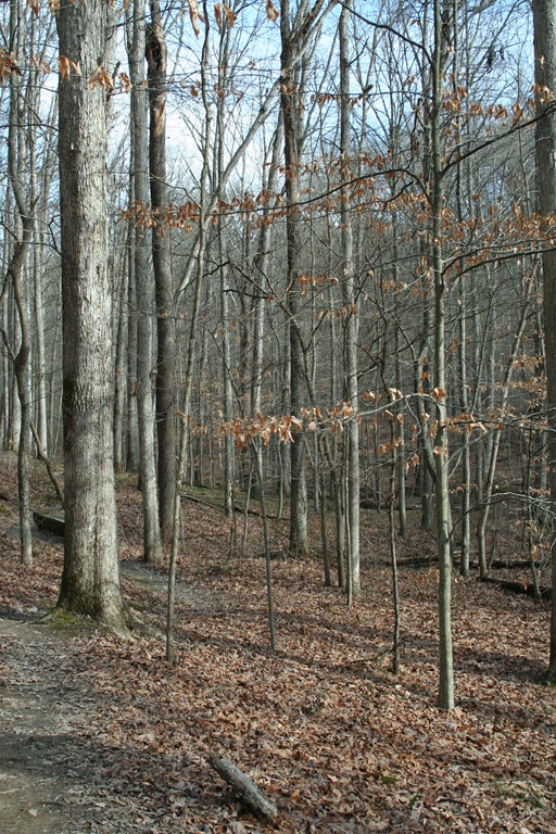 [IMG_7285%255B6%255D.jpg]