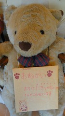 DSC08143 DSC08143