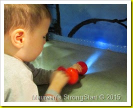 IMG_2772 IMG_2772