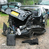 Veggie System Surviving Horrible Accident