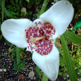 IMAG0790.JPG