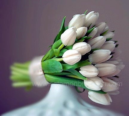 [tulips-solomon-bloemen205.jpg]