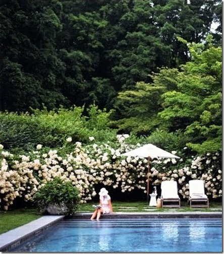 Limestone & Boxwoods The Perfect Pool - Martha Stewart Living