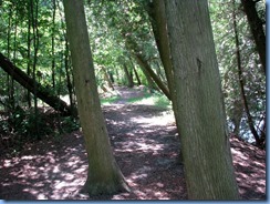 4691 McRae Point Provincial Park Water's Edge Trail