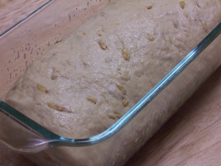 [sprouted-kamut-bread%2520035%255B1%255D.jpg]