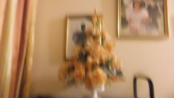 [January%25202012%2520014%255B4%255D.jpg]