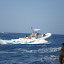 Palermo Montecarlo 2012 117.jpg