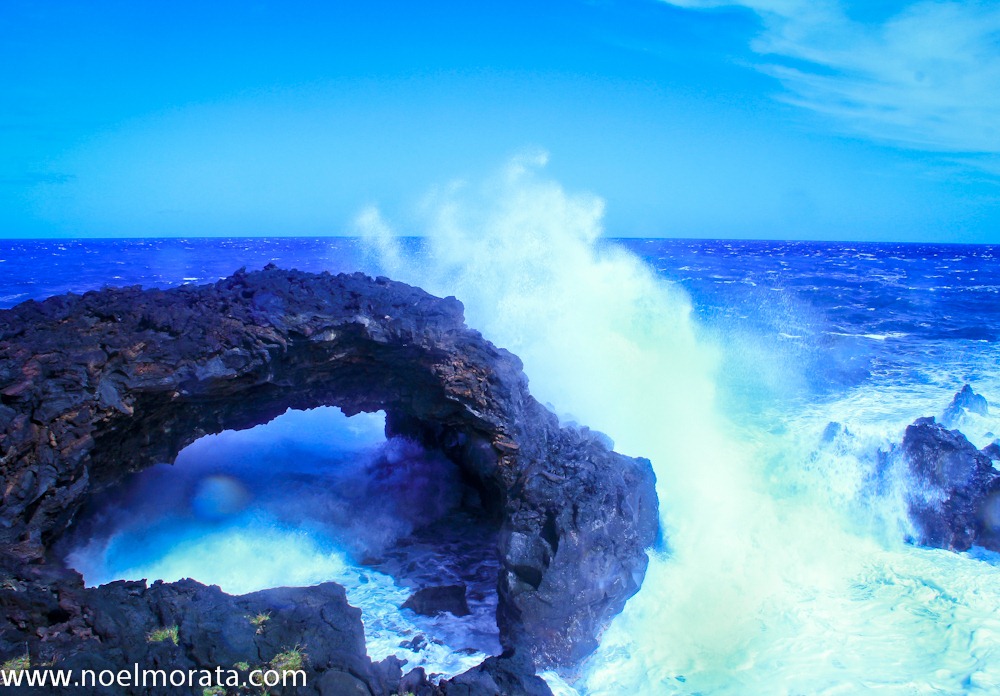 [_MG_83605.jpg]