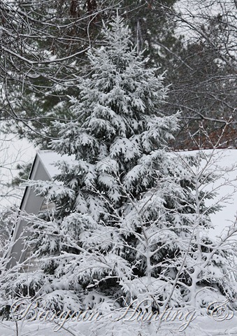 [christmas%2520snow%255B3%255D.jpg]