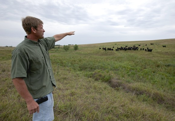 In this photo from 1 August 2012, Todd Eggerling, of Martell, Nebraska, points to some of his cattle grazing on thin pasture. Due to the summer’s record drought and heat his cattle operation is in bad shape. Eggerling would normally graze his 100 head of cattle through September, but the drought has left his pastureland barren. He’s begun using hay he had planned to set aside for next year’s cattle, and is facing the reality that he will have to sell the cattle for slaughter early at a loss. Nati Harnik / Associated Press