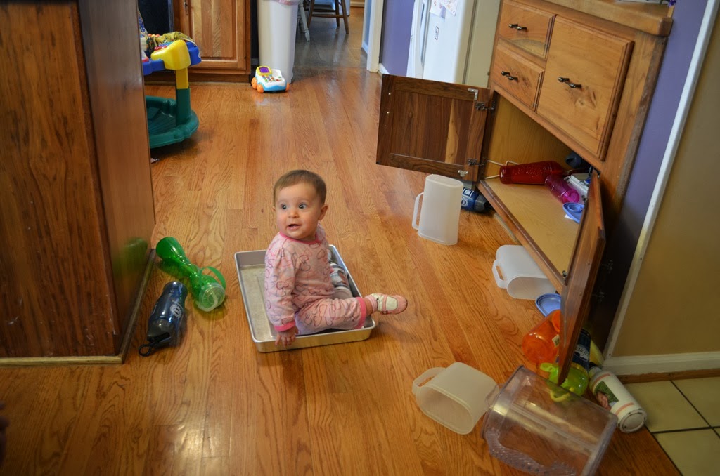 [DSC_5820%255B4%255D.jpg]