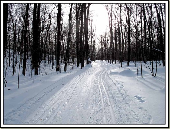 Trail 15 - late afternoon on 13/2/12