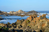 DSC_0518.JPG
