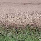 20100824_111_small.JPG