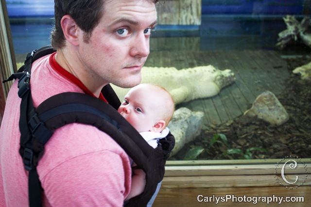 [Gatorland14of162.jpg]