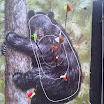 2013-03-31 11.41.36.jpg