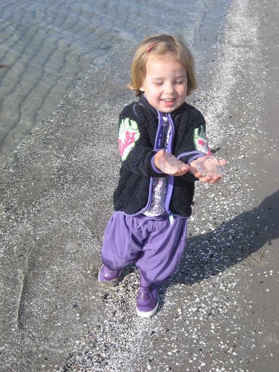 IMG_8917 IMG_8917