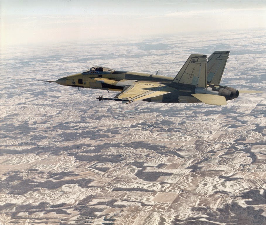[Bare-F-18Bare-F-18a7.jpg]
