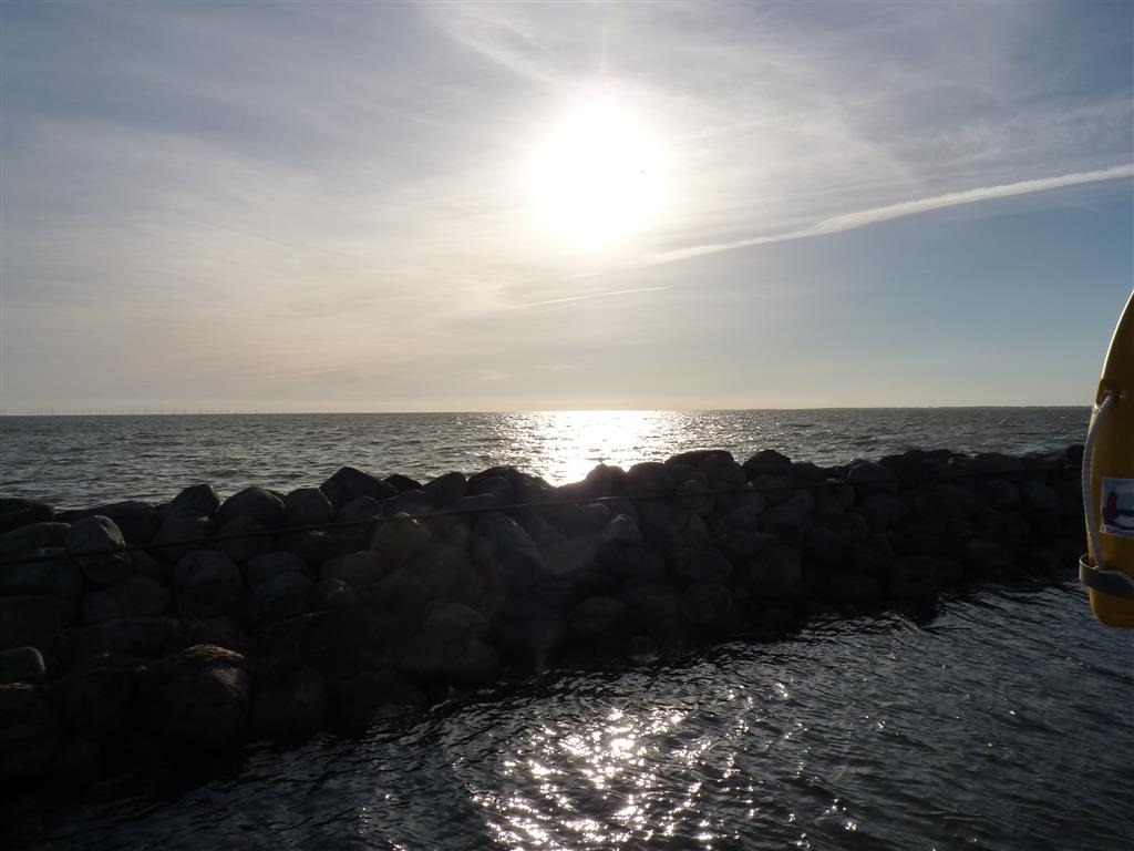 [P1030226-Medium3.jpg]