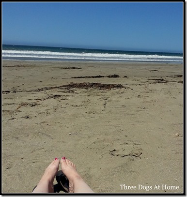 beach blog1