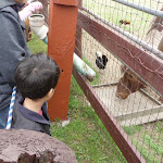 P1090633.JPG