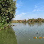 IMG_7964.JPG