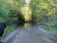 Bild 031.jpg