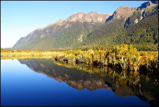 NZ Mirror lake