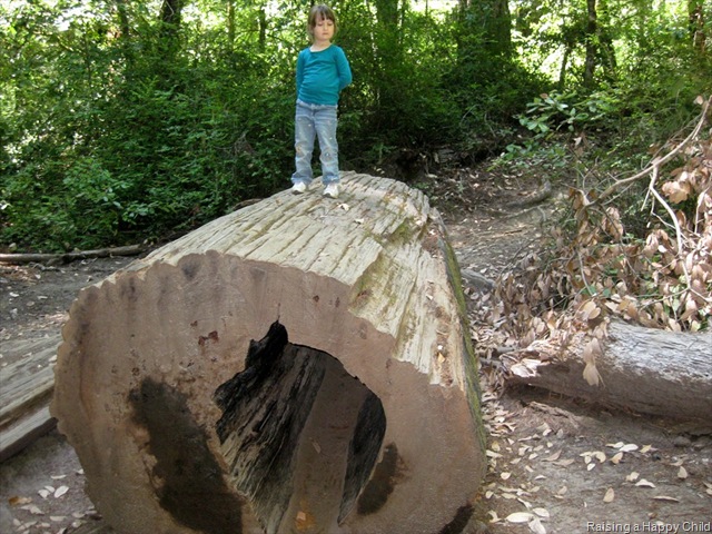 [July24_Redwoods2%255B3%255D.jpg]