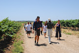 DSC_0167.JPG
