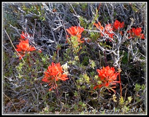 EFP-P1050335 EFP-P1050335