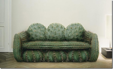 creative-sofa-cactus