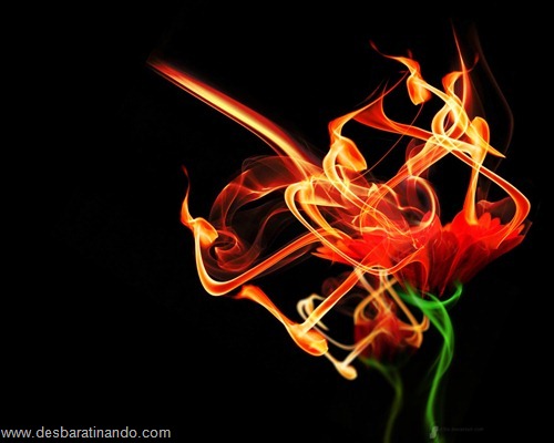 wallpapers fogo fire desbaratinando (3) wallpapers fogo fire desbaratinando (3)