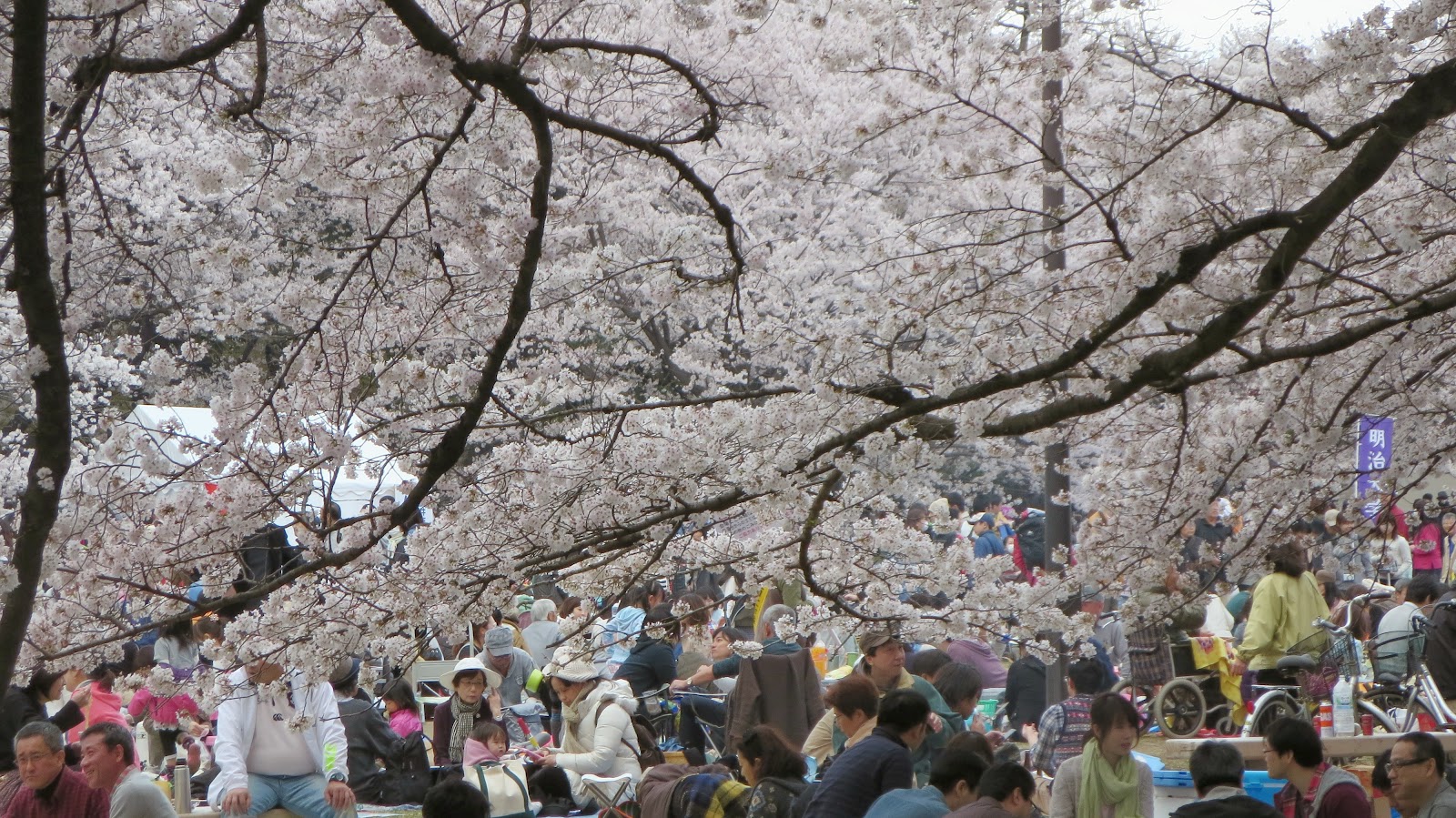 [IMG_0927%255B6%255D.jpg]