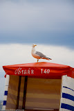 Borkum, Germany
