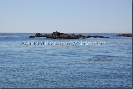 DSC_0743 DSC_0743