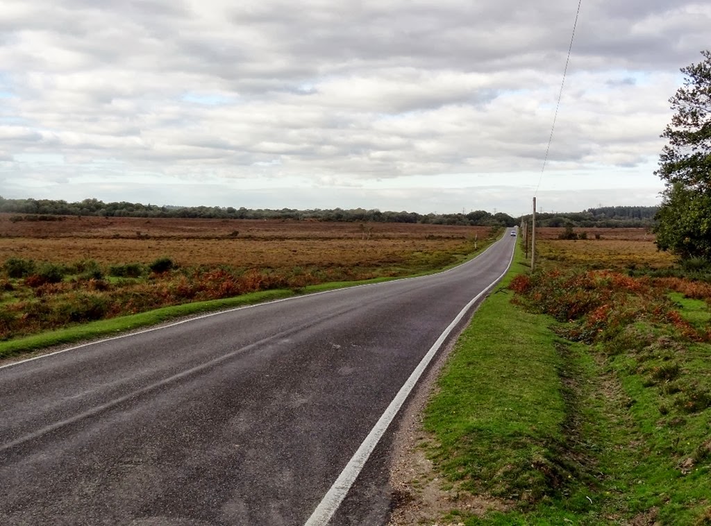 [DSC00462-1200x8885.jpg]