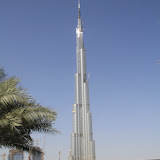IMG_4949.JPG