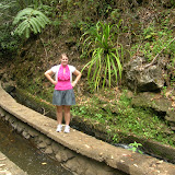 Road to Hana: Balance Beam in the Woods