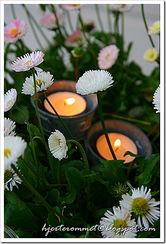 IMG_2541 IMG_2541