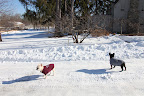 After all of that howling wind, the blizzard has turned everything into a winter wonderland!