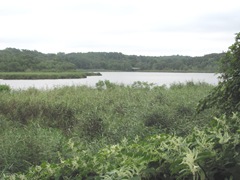 Plimoth Plantation 8.30.2-13 Eel River