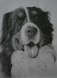 Falou, portret -36 x 40 cm - potlood op papier