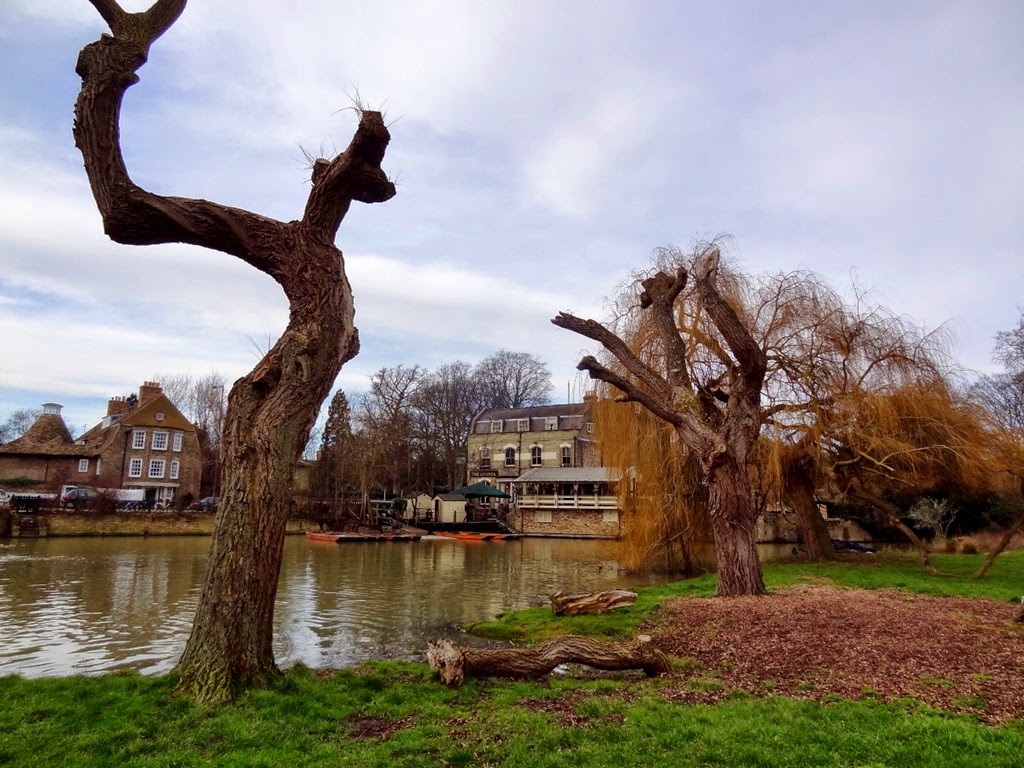 [DSC00971%2520%25281300x975%2529%255B10%255D.jpg]